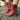 Women’s Western Ankle Boots with Embroidered Details and Block Heel
